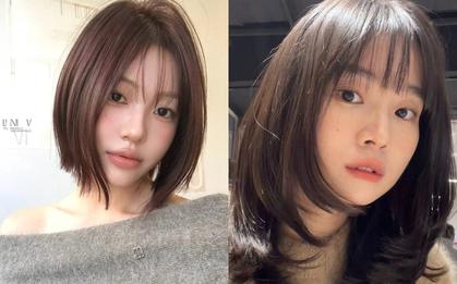 8 màu nhuộm hot nhất 2026: Che tóc bạc khéo léo, xuống màu không bị vàng
