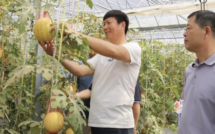 Phát minh của Trung Quốc gây sốc ngành rau quả: Tạo ra ‘dưa hấu vũ trụ’ có hương vị sữa, chocolate, thu về hơn 30.000 đơn đặt hàng