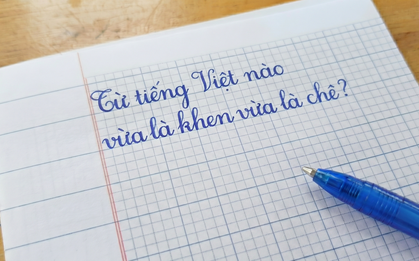 Trong tiếng Việt có một từ vừa là khen ngợi vừa là chê bai