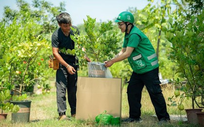 Kinh doanh cây cảnh online: Làm sao để hạn chế rủi ro khi giao hàng?
