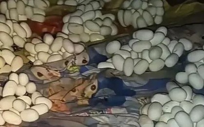 Mở cửa căn phòng trống, nam thanh niên chứng kiến cảnh tượng "không thể tin nổi"