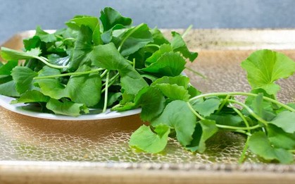 Chống nắng nội sinh tự nhiên: Đây là bát canh nấu cực dễ, ăn vào da mát rượi không sợ bắt nắng, mụn bọc lặn thin thít