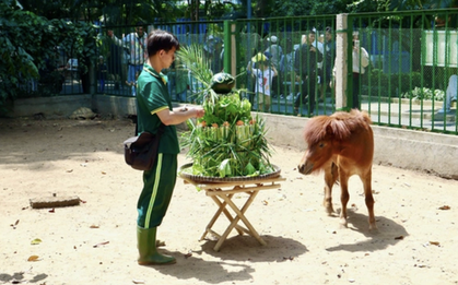 Nhiều người sẽ bất ngờ sau khuyến cáo của Thảo Cầm Viên Sài Gòn