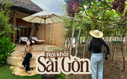 Rời Sài Gòn về Nha Trang, dù không thất nghiệp