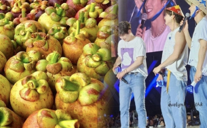 Nữ hoàng trái cây Việt giá 3 triệu/kg khiến khách Hàn lùng sục, làm ông hoàng Kpop mê điên đảo theo