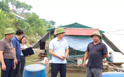 Mực nước sông Đà giảm đột ngột, hơn 73 tấn cá chết