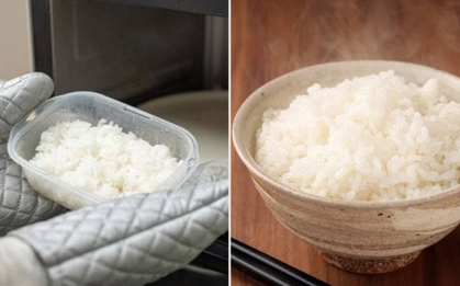 Ăn cơm nguội có thể gây ngộ độc? Sự thật khiến nhiều người phải xem lại thói quen bảo quản thực phẩm