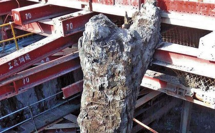 Đào sâu 30m dưới lớp nước ngầm, phát hiện vật thể “tỏa mùi thơm” dài 35m: Công trường lập tức bị phong tỏa