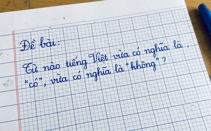Trong tiếng Việt có một từ vừa là có vừa là không