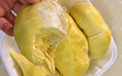 Tại sao không nên ăn sầu riêng trước những kỳ thi quan trọng?
