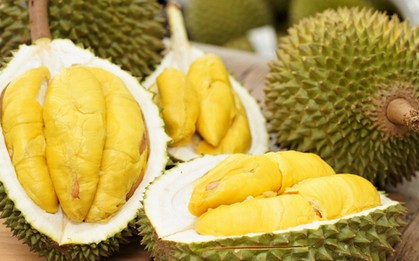 Sầu riêng thuộc nhóm trái cây nhiều đường nhưng chuyên gia lại khuyên một số người nên ăn: Hoá ra là vì điều này!