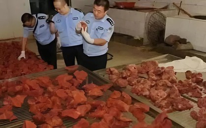 Theo dõi suốt 2 tháng, phanh phui đường dây sản xuất thịt giả doanh thu 19 tỷ đồng, thu giữ 2,2 tấn thịt chất thành "núi"