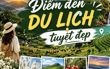 Việt Nam có 1 ĐỊA ĐIỂM, 3 lần được vinh danh "Điểm đến thiên nhiên khu vực hàng đầu thế giới": Chỉ cách Hà Nội chỉ 180km, mát mẻ quanh năm