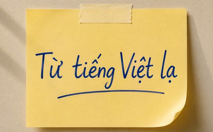 Một từ tiếng Việt chỉ 2 âm tiết nhưng khiến không ít người Việt phải tra Google mới hiểu nghĩa