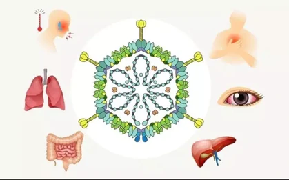 Adenovirus tăng gấp 3 lần, cảnh báo nguy cơ lây nhiễm từ bể bơi công cộng