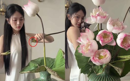 Lê Bống cắm hoa sen “chọc giận” 1 triệu người