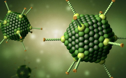 1 loại virus đang tăng nhanh, bể bơi công cộng nguy cơ lây nhiễm: Bác sĩ cảnh báo dấu hiệu trẻ mắc bệnh, phụ huynh đừng chủ quan