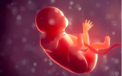 Phát hiện đáng ngại của Trung Quốc về sinh con trong không gian