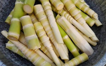 Đừng chủ quan với rau củ: 5 loại quen thuộc chứa độc tố tự nhiên, nấu chưa chín kỹ có thể gây ngộ độc