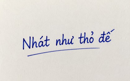 Vì sao gọi là "nhát như thỏ đế"?