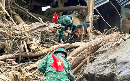 Huy động thêm chó nghiệp vụ đến tâm lũ Lai Châu tìm người mất tích