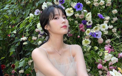IU đã căng đến mức đệ đơn lên Tòa án Liên bang Mỹ