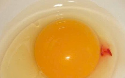 Vì sao lòng đỏ trứng lại có đốm máu? Câu trả lời khiến nhiều người bất ngờ