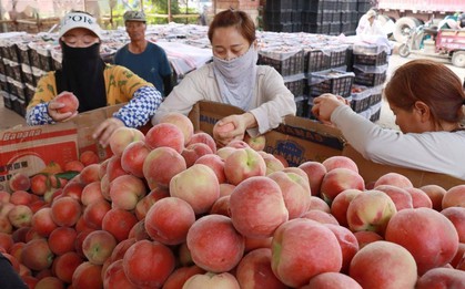 Bé trai làm hỏng 3 quả đào trong siêu thị, cách xử lý của người mẹ được khen "đáng tiền hơn mọi lớp học kỹ năng"