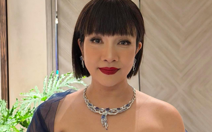 Tình hình hiện tại của Diva Mỹ Linh