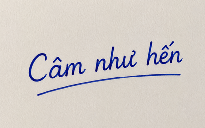 Vì sao gọi là "câm như hến"?