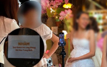 "Hội meo meo" đổ bộ quán cà phê - nam châm hút khách hay nỗi ám ảnh khiến khách hàng không dám quay lại?