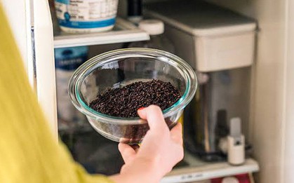 Vì sao nhiều gia đình đặt một bát bã cà phê trong tủ lạnh? Công dụng khiến không ít người bất ngờ