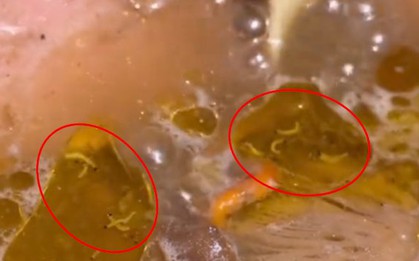 Khách hàng phát hiện sâu nổi đầy trong nồi lẩu, nhân viên khẳng định “đó là chuyện bình thường”