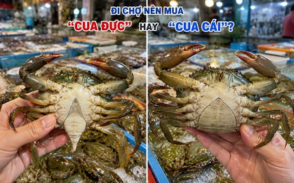 Đi chợ nên mua "cua đực" hay "cua cái"?