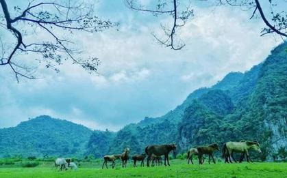 Không phải Sa Pa, đây là nơi được ví như "Mông Cổ thu nhỏ" của Việt Nam: Vừa lọt đề cử tốt nhất thế giới
