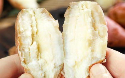 Một loại củ quen thuộc giúp giảm 57% mỡ trung tính trong gan: Người Việt ăn rất nhiều nhưng ít biết cách dùng
