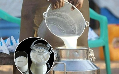 Scandal 'hóa phép' bột giặt thành sữa tươi gây rúng động ở Ấn Độ