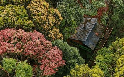 1 điểm đến của Việt Nam vừa được đề cử Làng du lịch tốt nhất thế giới 2026: Cây "mọc trong nhà thủng cả mái", du khách đến rồi khó quên