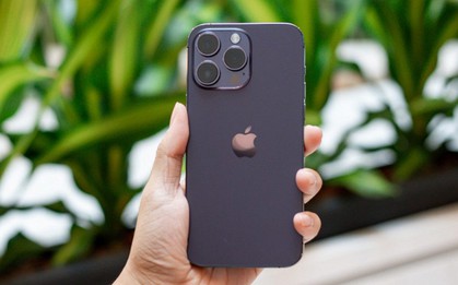 3 chiếc iPhone cũ đang giảm giá mạnh nhất hiện nay