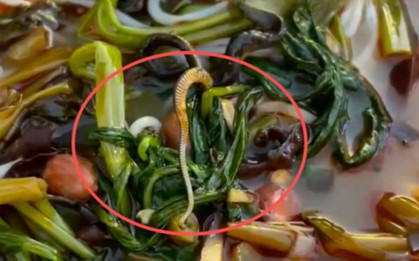 Tưởng là mộc nhĩ, người phụ nữ bàng hoàng khi nhìn rõ thứ nổi trong bát bún: Chủ quán xử lý gây tranh cãi
