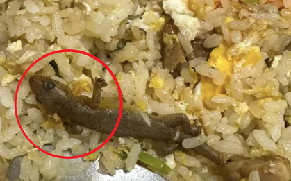Đang ăn cơm rang, cô gái sốc khi thấy thứ "đáng sợ" trong đĩa