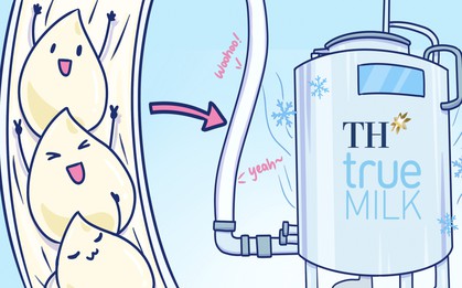 Khám phá hành trình "không hở một giây" của giọt sữa tươi sạch TH true MILK