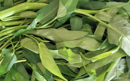 Ăn rau muống mỗi ngày: Điều gì sẽ xảy ra với cơ thể?