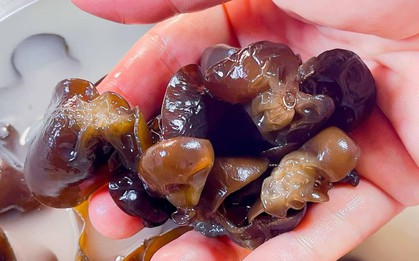Thực phẩm quen thuộc gia đình nào cũng có: Bác sĩ cảnh báo đừng ngâm quá lâu vì sẽ sinh 1 độc tố, WHO lo ngại ngộ độc và tử vong