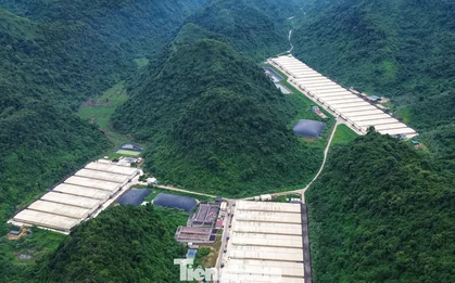 Khởi tố vụ án 5 người chết trong trại lợn của Công ty Dabaco Thanh Hóa