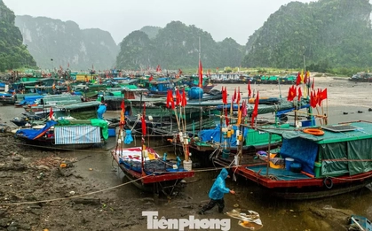 Bão số 1 áp sát Quảng Ninh, ngư dân dầm mưa chằng chống tàu thuyền tránh bão