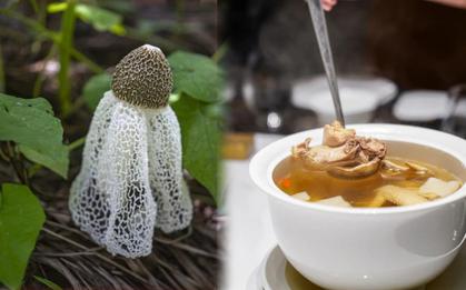 Thực phẩm chứa kali hơn cả chuối, hấp hay luộc đều ngon: Nên ăn nhiều vào tháng 7 để hỗ trợ tiêu hóa, bảo vệ gan, giảm mệt mỏi, tăng miễn dịch