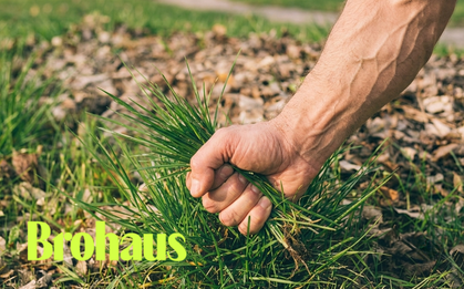 Đàn ông hiện đại không còn ngại "dọn cỏ": Một thị trường tỷ USD đang bùng nổ phía sau