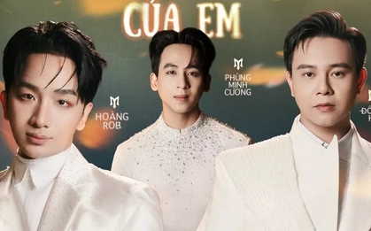 Khủng hoảng của Anh Trai Chông Gai
