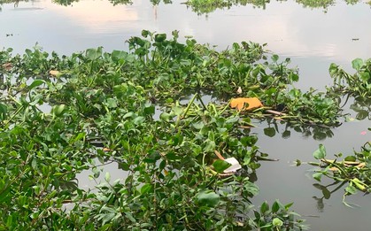 Tìm nhân thân người phụ nữ tử vong, trôi trên sông Sài Gòn